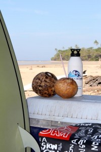 Fresh coconuts ready to drink when you get out of the water each day.
